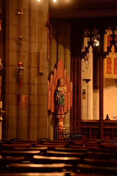 DSC_6129 (Large).JPG